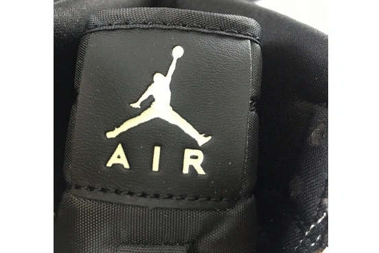 Fossil Air Premium WMNS 1 Jordan AH7389-003 Mushroom AH7389-003 High 0224